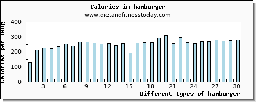 hamburger water per 100g