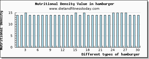 hamburger water per 100g