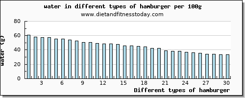 hamburger water per 100g