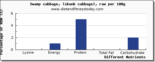 chart to show highest lysine in cabbage per 100g