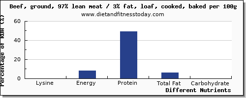 chart to show highest lysine in meatloaf per 100g