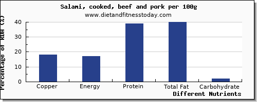 chart to show highest copper in salami per 100g