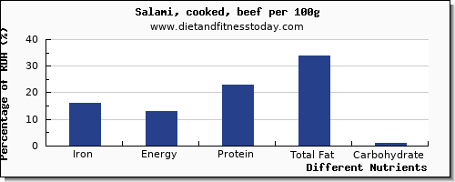 chart to show highest iron in salami per 100g