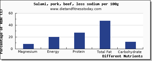 chart to show highest magnesium in salami per 100g