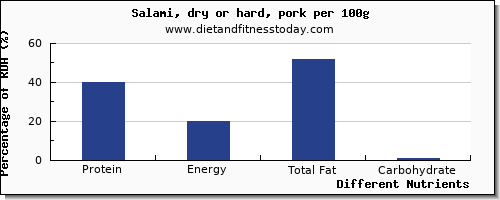 chart to show highest protein in salami per 100g