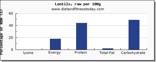 lysine and nutrition facts in lentils per 100g