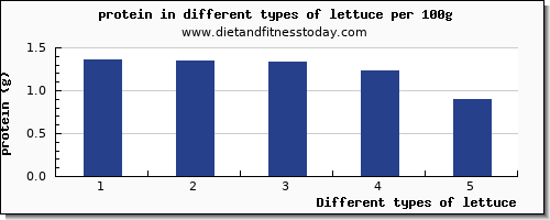 lettuce protein per 100g