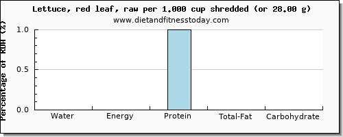 water and nutritional content in lettuce