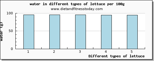 lettuce water per 100g