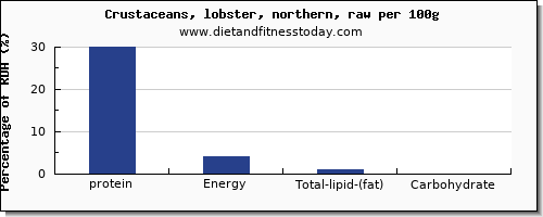 protein and nutrition facts in lobster per 100g
