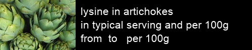 lysine in artichokes information and values per serving and 100g