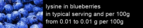 lysine in blueberries information and values per serving and 100g