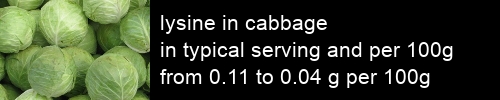 lysine in cabbage information and values per serving and 100g