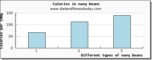 navy beans cholesterol per 100g