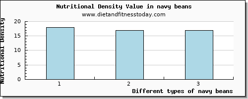 navy beans cholesterol per 100g