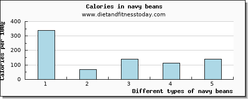 navy beans copper per 100g