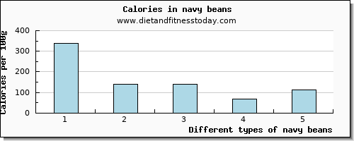 navy beans iron per 100g