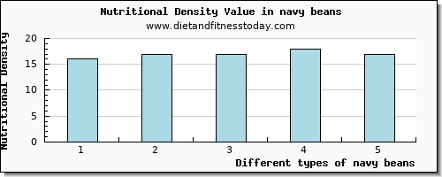 navy beans iron per 100g