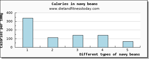 navy beans lysine per 100g