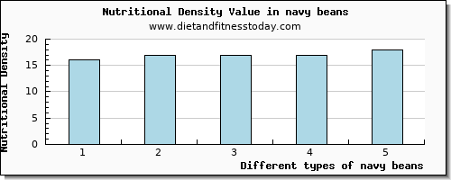 navy beans lysine per 100g