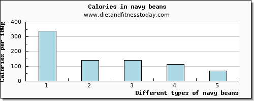 navy beans protein per 100g