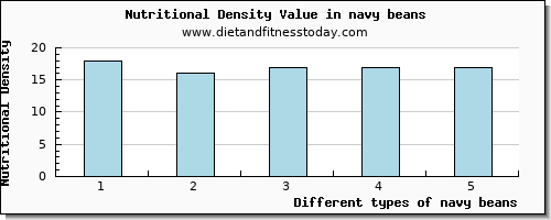 navy beans riboflavin per 100g