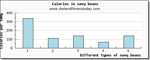navy beans saturated fat per 100g