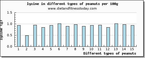 peanuts lysine per 100g