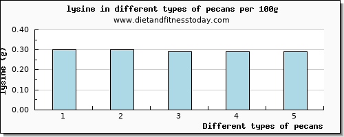 pecans lysine per 100g