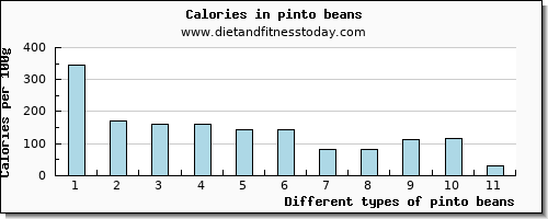 pinto beans magnesium per 100g