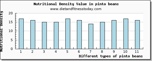 pinto beans protein per 100g