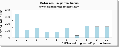 pinto beans saturated fat per 100g