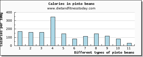 pinto beans water per 100g