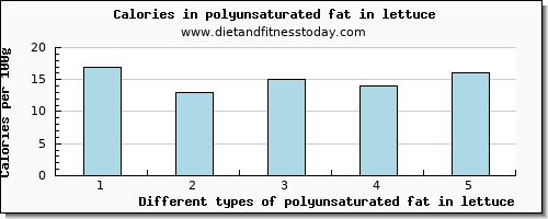 polyunsaturated fat in lettuce fatty acids, total polyunsaturated per 100g