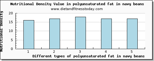 polyunsaturated fat in navy beans fatty acids, total polyunsaturated per 100g