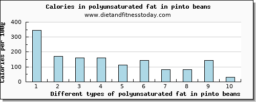 polyunsaturated fat in pinto beans fatty acids, total polyunsaturated per 100g