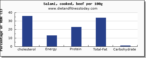 cholesterol and nutrition facts in salami per 100g