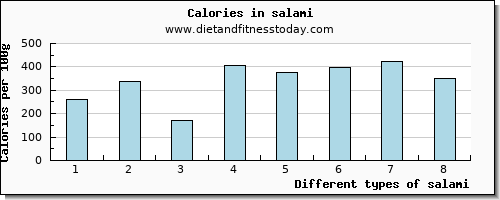 salami fiber per 100g