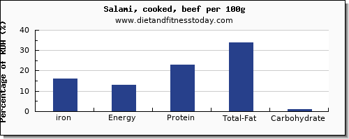 iron and nutrition facts in salami per 100g