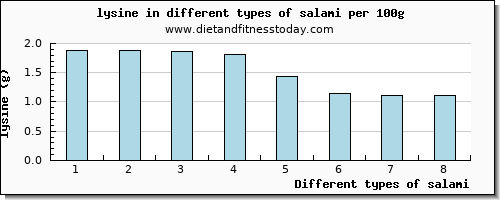 salami lysine per 100g