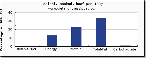 manganese and nutrition facts in salami per 100g