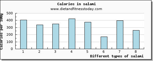 salami protein per 100g