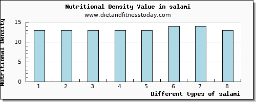 salami protein per 100g