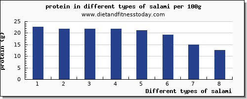 salami protein per 100g