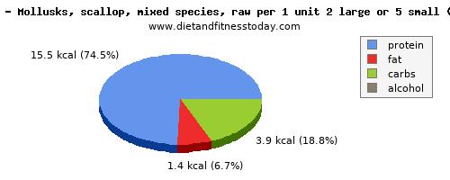 phosphorus, calories and nutritional content in scallops