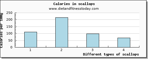 scallops protein per 100g