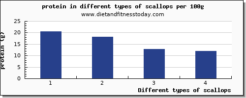 scallops protein per 100g