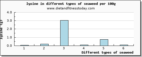 seaweed lysine per 100g