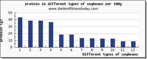 soybeans protein per 100g