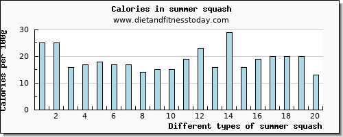 summer squash protein per 100g